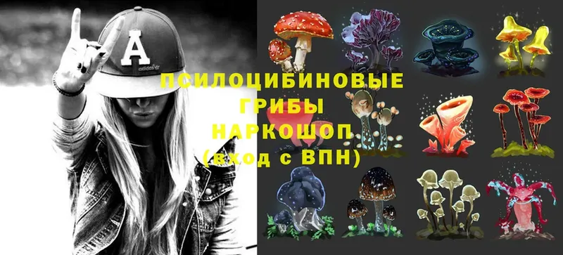 Галлюциногенные грибы MAGIC MUSHROOMS  как найти наркотики  Касимов 